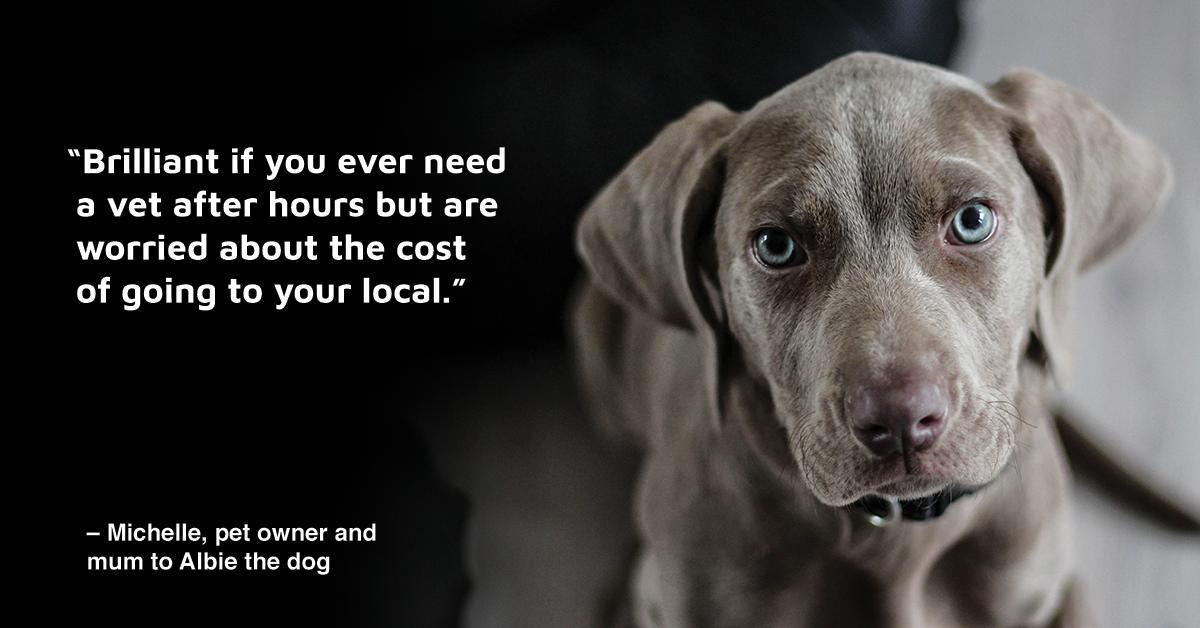 When Michelle’s pup was sick and unsettled with a broken claw, “Vetchat was wonderful and very reassuring. Fantastic!” 

Connect with our vets in minutes like Michelle did.