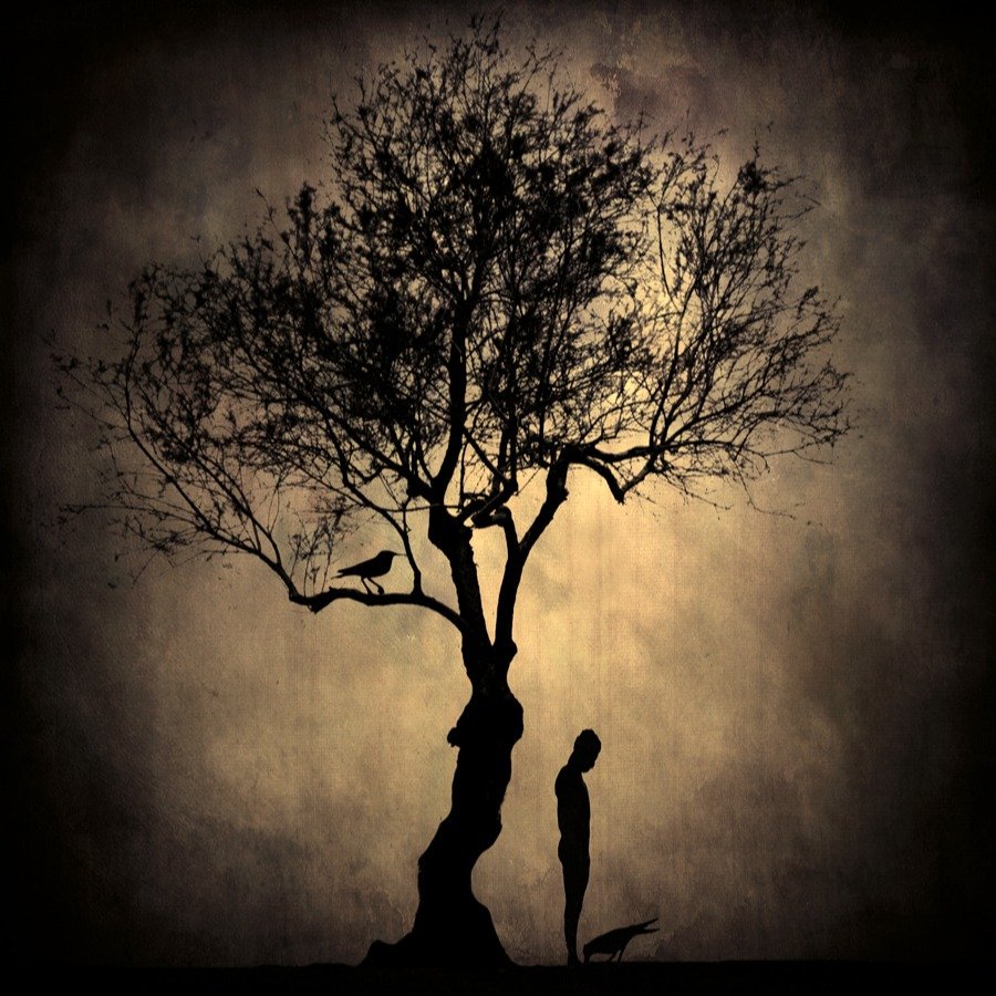 Dehlize bırakılır giyotini boynunda üryan.
Umut var mı?
Var, karanlığa umutlar birikti.

Vaktimiz yok.
Güne kalan yarına tükenmektir.

<a href="/RmznCetiner/">Ramazan Çetiner</a>
#RamazanCetiner
#Şiir
#Poetr #Edebiyatı