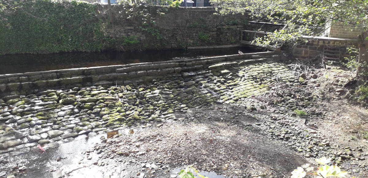 wordofmouthart's tweet photo. Still pinching myself that this is the view from the back of my new shop! 
Please note there is wheelchair access to the rear of the shop and the door is open please share.
#wheelchairaccess @wordofmouthart #HebdenBridge #buggyfriendly https://t.co/CUAW259ELD