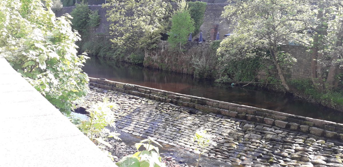 Still pinching myself that this is the view from the back of my new shop! 
Please note there is wheelchair access to the rear of the shop and the door is open please share.
#wheelchairaccess <a href="/wordofmouthart/">Word of Mouth</a> #HebdenBridge #buggyfriendly