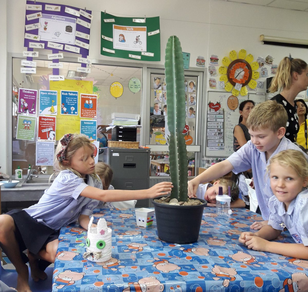 DustingEmma's tweet photo. At Green Valley, we love to hear from experts. Today Year 3 are learning about Cacti. Did you know that Dragon Fruit is the seed of a cactus?😯 #plants @standrewsgv #growyourown #cognitaway #cleartheair #Cactus https://t.co/CL6Wvm0eD9
