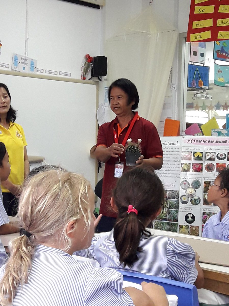 DustingEmma's tweet photo. At Green Valley, we love to hear from experts. Today Year 3 are learning about Cacti. Did you know that Dragon Fruit is the seed of a cactus?😯 #plants @standrewsgv #growyourown #cognitaway #cleartheair #Cactus https://t.co/CL6Wvm0eD9