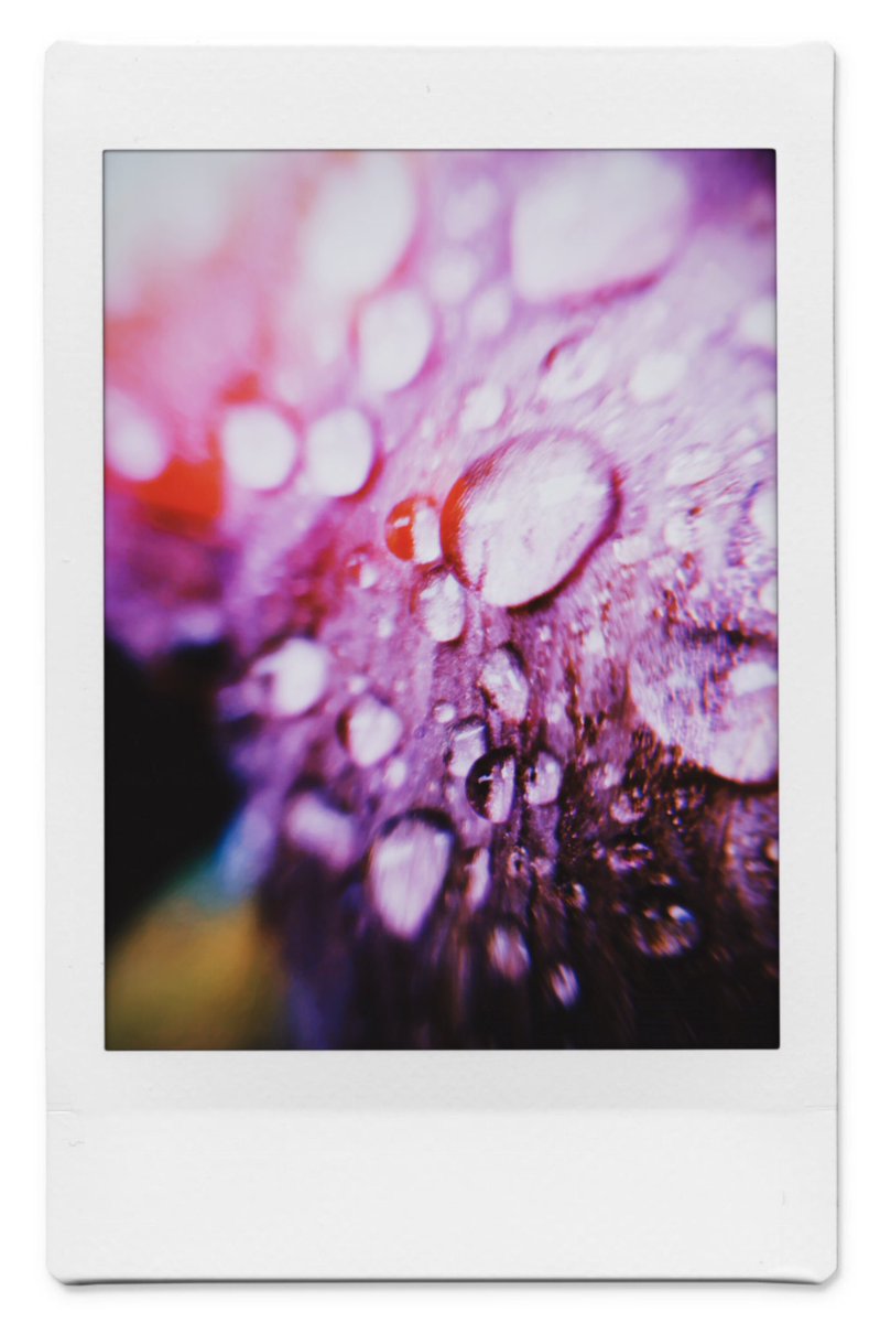 雨のいいところ
#photography #polaroid 