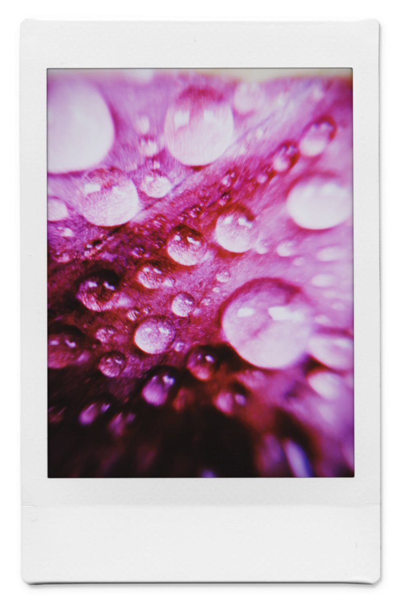雨のいいところ
#photography #polaroid 