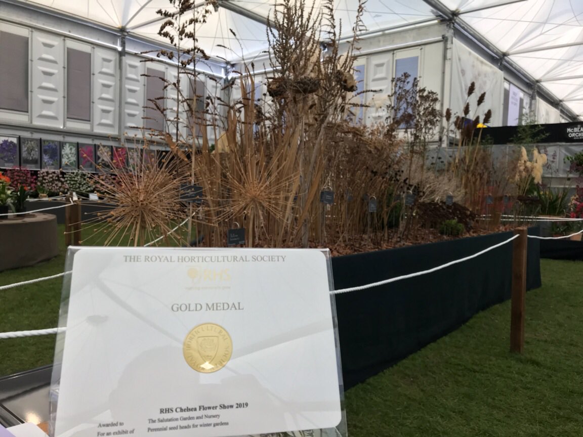 Our first ever #ChelseaFlowerShow and we won gold! Absolutely bowled over, especially as we made such a controversial display...everything being DEAD and all...