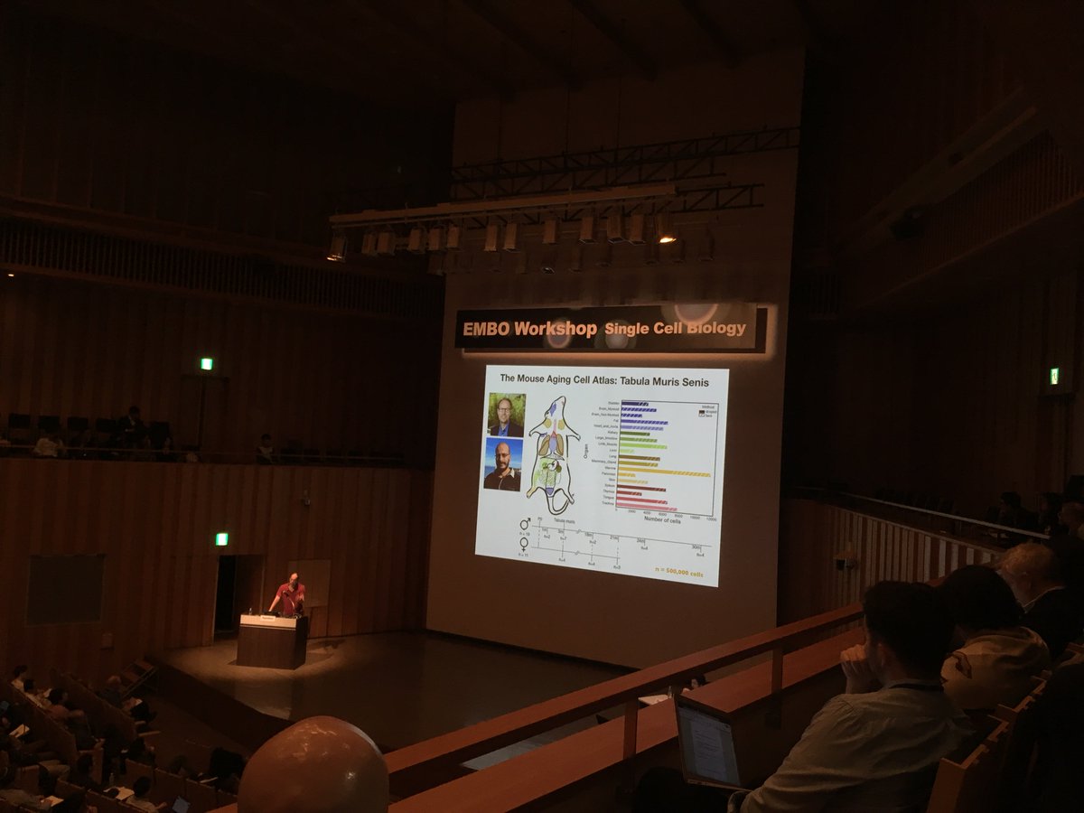 SCIJulioLeon's tweet image. The mouse aging cell atlas reveals an increase of senescence with aging across tissues (~2x p16 expression, 3mvs24m) but a decrease of senescence in “centenarians”(24mvs30m)
StephenQuake
#EMBOsinglecellbio #aging #singlecelltranscriptomics