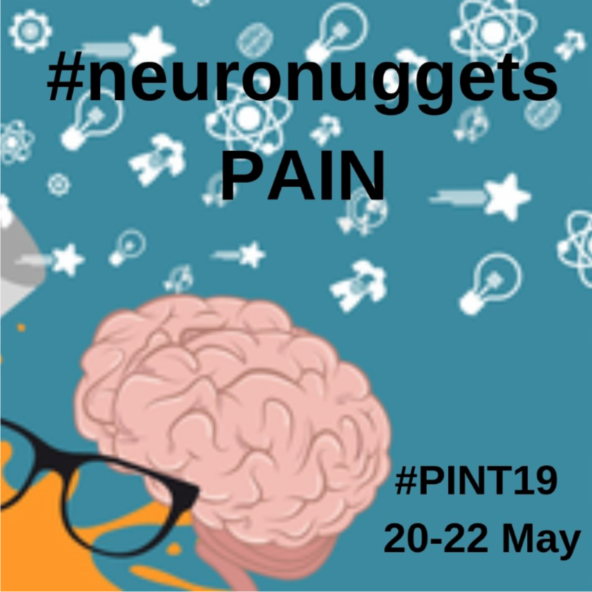 #pint19 Day Two. Here’s some PAIN facts coming your way. Follow #neuronuggets to collect them all! And find out about events near you in our handy guide: buff.ly/2XY9Ogg <a href="/pintofscience/">Pint of Science UK</a>