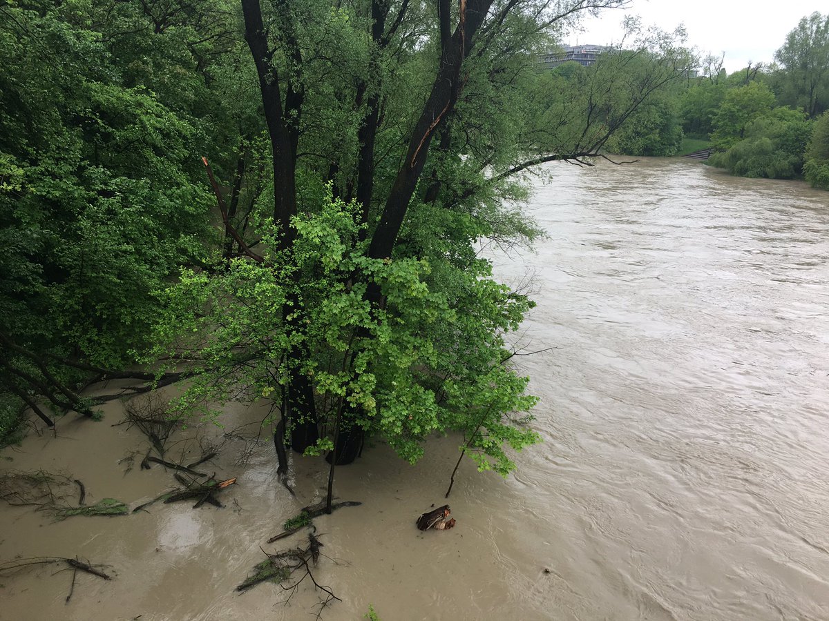 Mandarina_2020's tweet photo. Was man alles sieht, wenn man mit dem #Fahrrad unterwegs ist. Die #Isar ist wegen des Dauerregens über ihre Ufer getreten! 😳
#Hochwasser #München #mdrza #Regen #englischer #garten #isarring https://t.co/uTBoYhhQjM