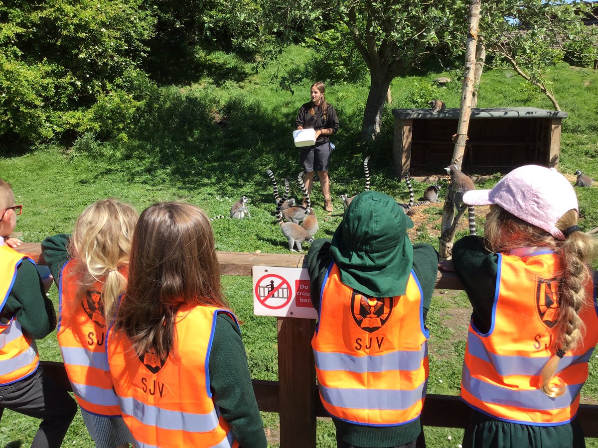 sjvblackpool's tweet photo. We have had a great day at Blackpool Zoo ๐๐๐ซ๐ฆ๐ฆ #SJVClassRC https://t.co/PjJtSuqg6V