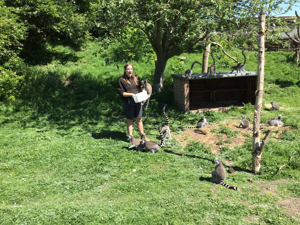 sjvblackpool's tweet photo. We have had a great day at Blackpool Zoo ๐๐๐ซ๐ฆ๐ฆ #SJVClassRC https://t.co/PjJtSuqg6V