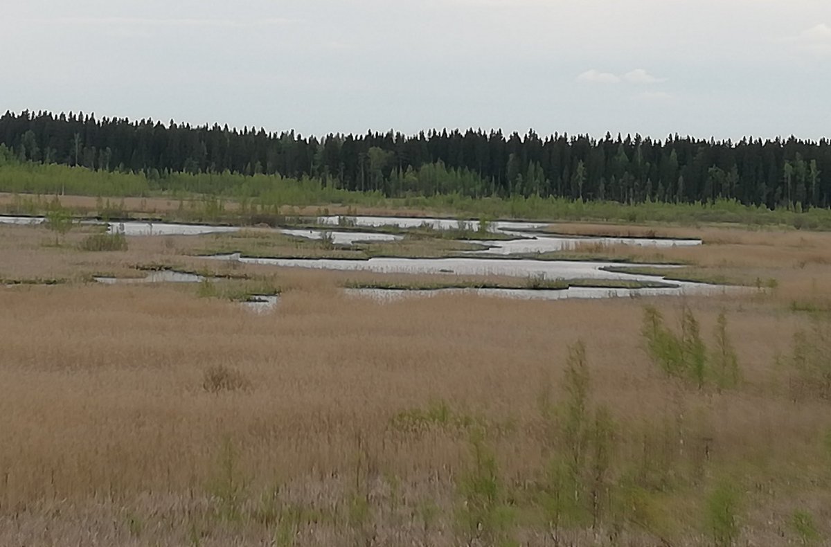 Teini jerk off porno