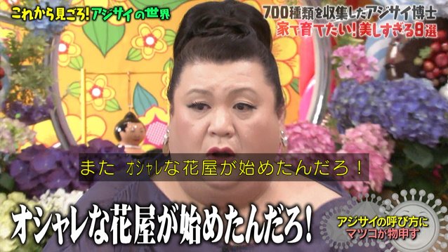 持続的 カール 公爵 紫陽花 虫除け マツコの知らない世界 Takagicorpo Jp 持続的 カール 公爵 紫陽花 虫除け マツコの知らない世界 Takagicorpo Jp