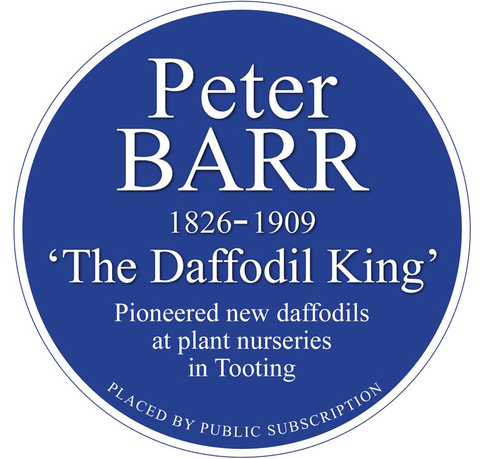 summerstown182's tweet photo. A big shout to everyone @RHSLibraries, @The_RHS #LindleyLibrary in Vincent Square, an outstanding resource who have been so helpful to @bwater_primary & myself in our Peter Barr research & learning more about #TheDaffodilKing THANK YOU! https://t.co/HsF8s5m1m1
