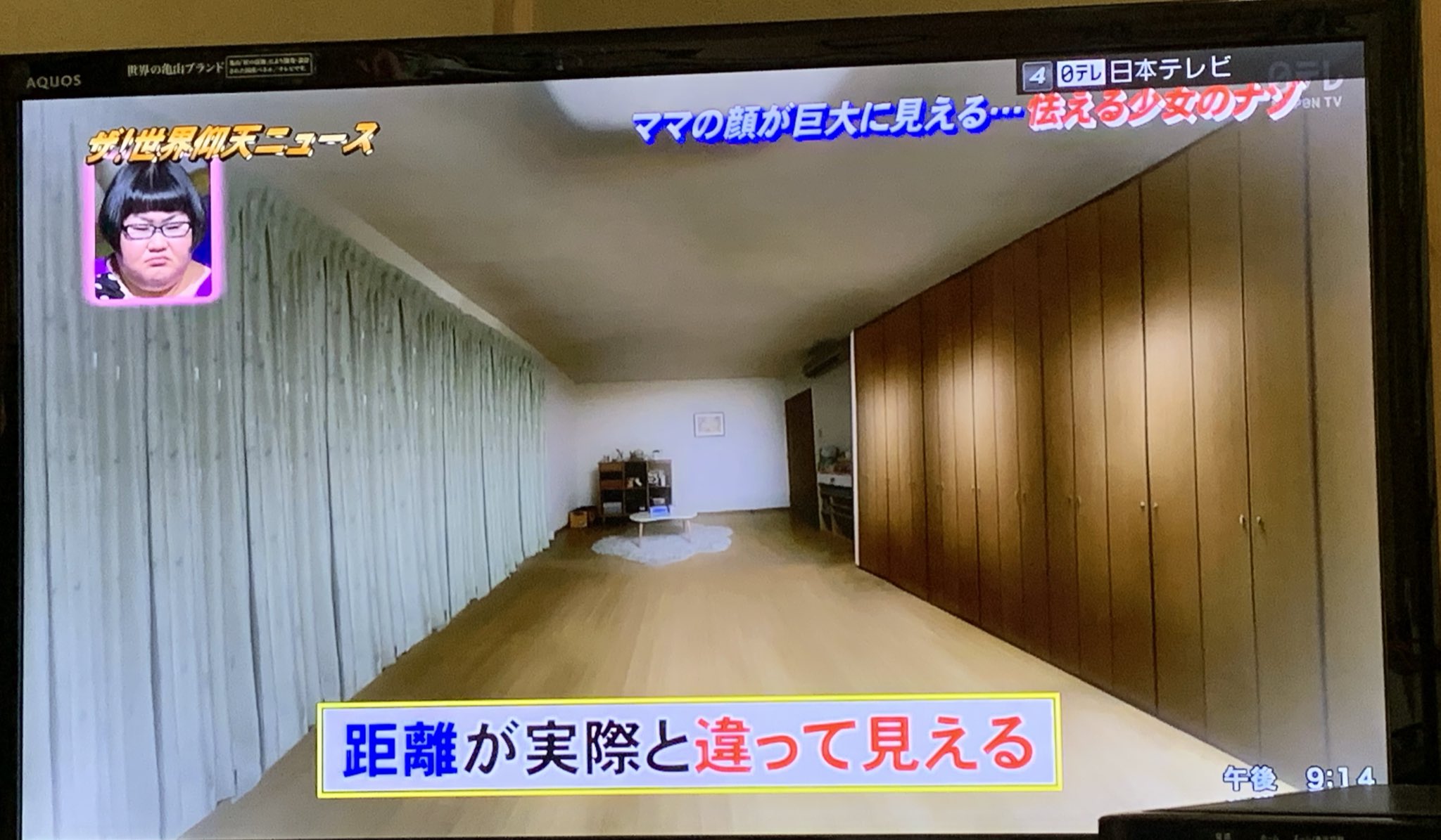 公の場での発言・インタビュー報道記録