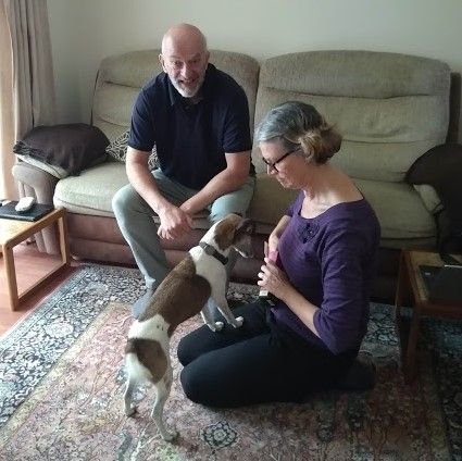 BarkingMadTaun's tweet photo. Here's Oda meeting hosts Don and Angie for the first time - smiles and waggy tails all round! If you'd like to know more about what's involved when you're a Barking Mad host get in touch, we'd love to tell you more! #somerset #doghosting https://t.co/Cszm4OkyPz