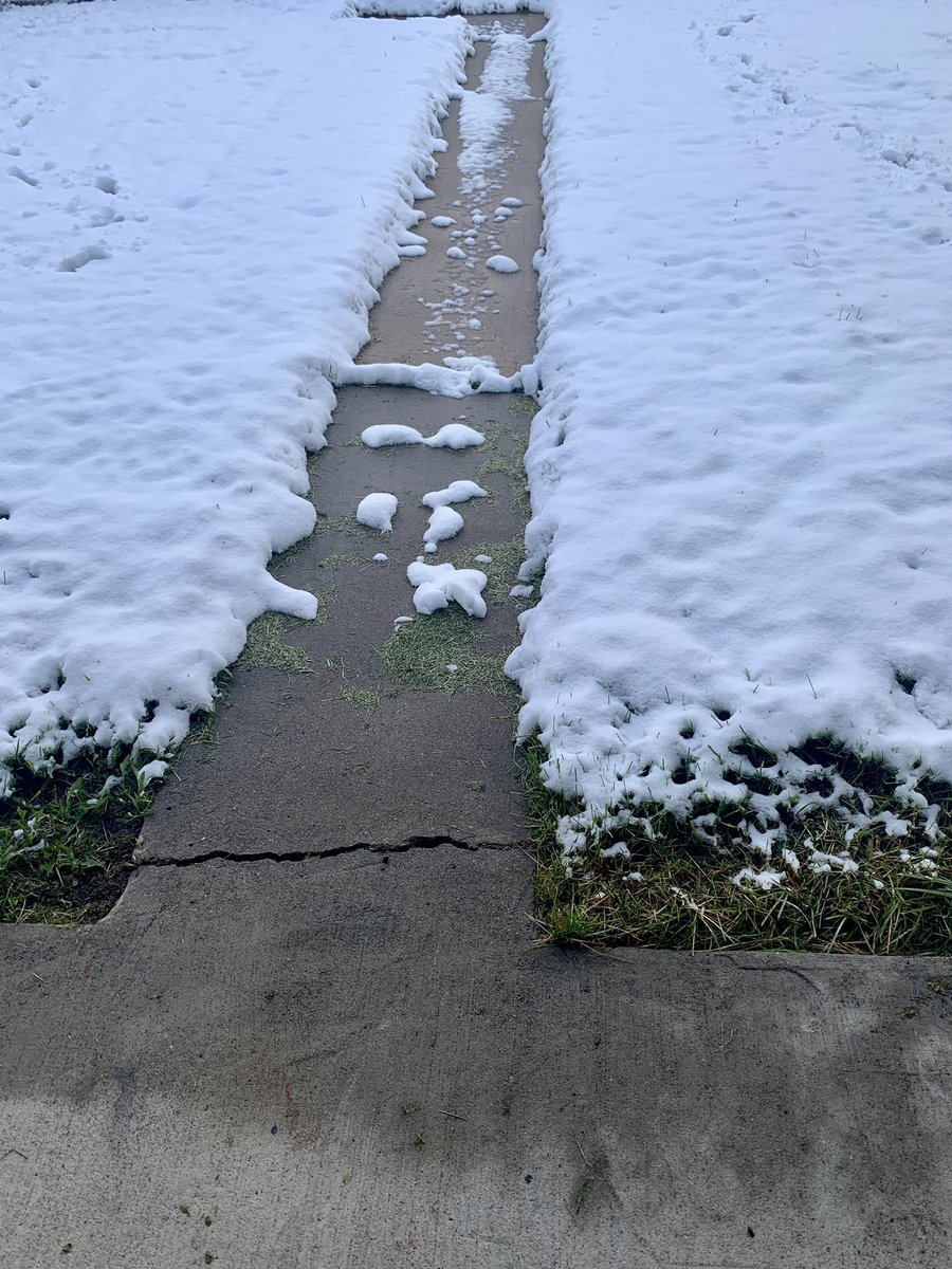 EmeraldZoo's tweet photo. And we mow the grass one day and cover it with snow the next morning! #ColoradoSpringTime
And in the middle of an already shitty move! Oh well. It is what it is. Onwards we go through rain & snow. The mailman ain’t got shit on me. https://t.co/MaBFwFiqK8