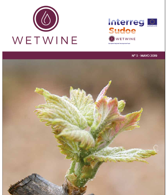 proyectowetwine's tweet photo. El Proyecto WETWINE lanza la 3ra edición de su Revistas que ya puede ser consultada en formato electrónico a través del siguente enlace: https://t.co/tNrQYF38JD https://t.co/IFCxhc4iH5