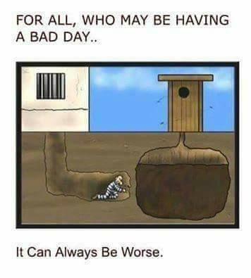 ylind's tweet image. 