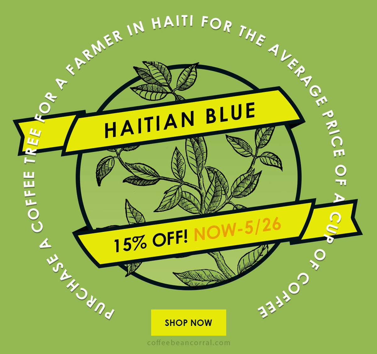 Keep the Haitian beans coming! Coffee Bean Corral is participating in the Haitian Tree Project to help create a sustainable future in Haiti. The Own-A-Tree Project offers you the opportunity to purchase a coffee tree for a farmer in Haiti-for the  price of a cup of coffee.