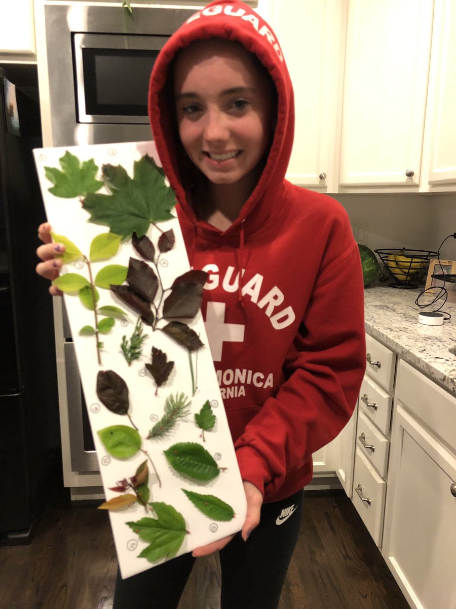 theplanetLARS's tweet photo. You’ll never use an ornamental horticulture minor, they said. 15 yrs later I say...  boom! #biologyhomework https://t.co/meNqeTBCr1