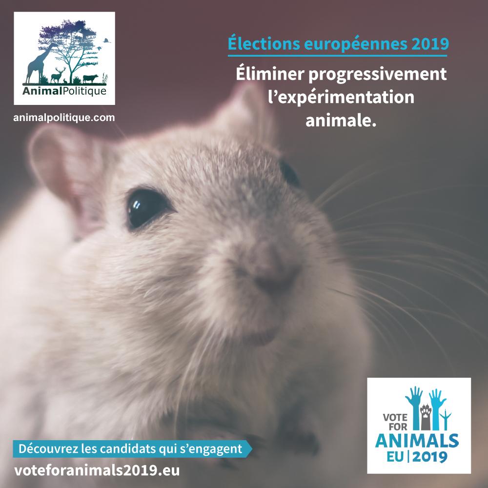 Société nationale pour la défense des animaux tweet media