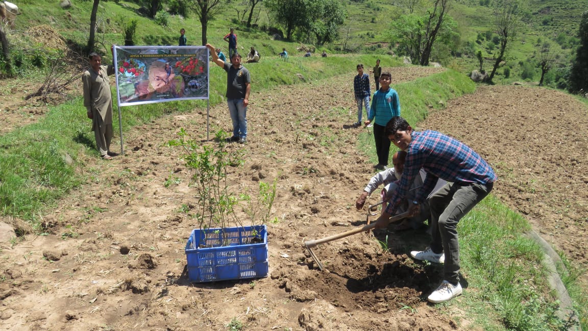 Whiteknight_IA's tweet photo. With the aim of providing avenues for gainful employment &amp; income generation for the local residents, a pilot project was undertaken by #Army to motivate the youth to undertake plantation of fruit bearing trees. 70 fruit trees saplings were planted. #ArmyForEnvironment @adgpi https://t.co/Ljwf08r6pd