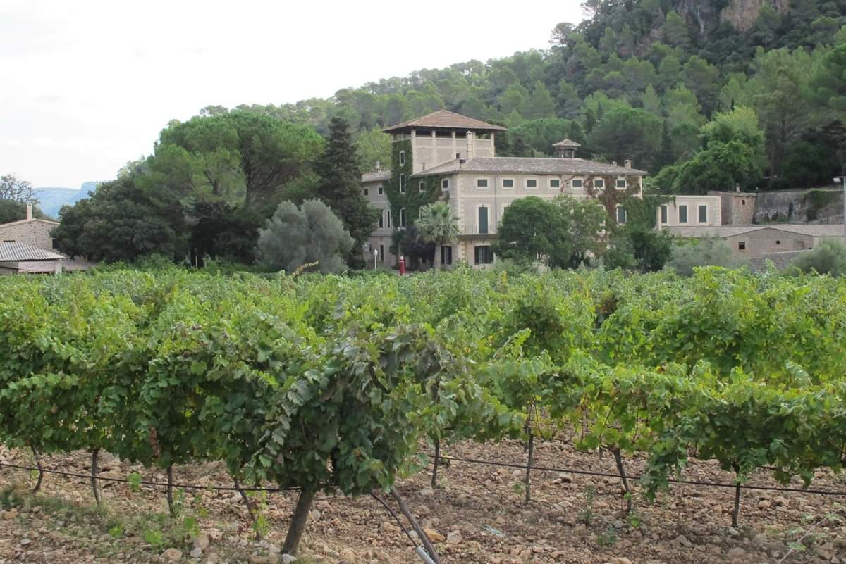 📢 La segona edició d'Aires de Tramuntana ja és aquí!

La Bodega <a href="/Son_Vich/">Son Vich de Superna</a> acollirà la segona edició dels maridatges d'#òpera i #vi Aires de Tramuntana

🍷 Aquest privilegiat espai es troba en una possessió mallorquina situada a la Vall de Superna, dins la #SerradeTramuntana