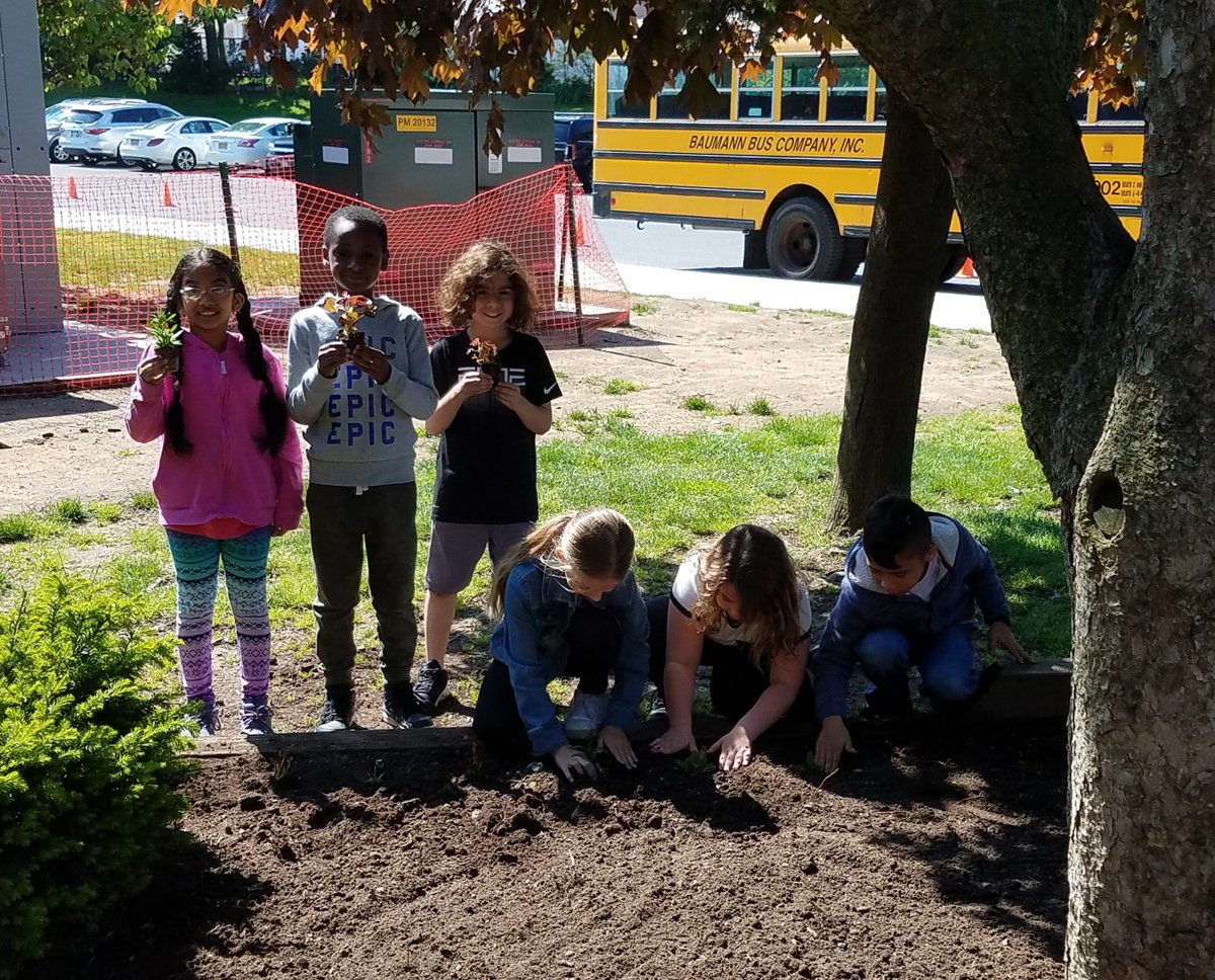 KimLatremore's tweet photo. @VS13UFSD James Dever students plant flowers for our annual PTA sponsored beautification project with help from our student council #DedicatedatDever https://t.co/scb7ibaMAy