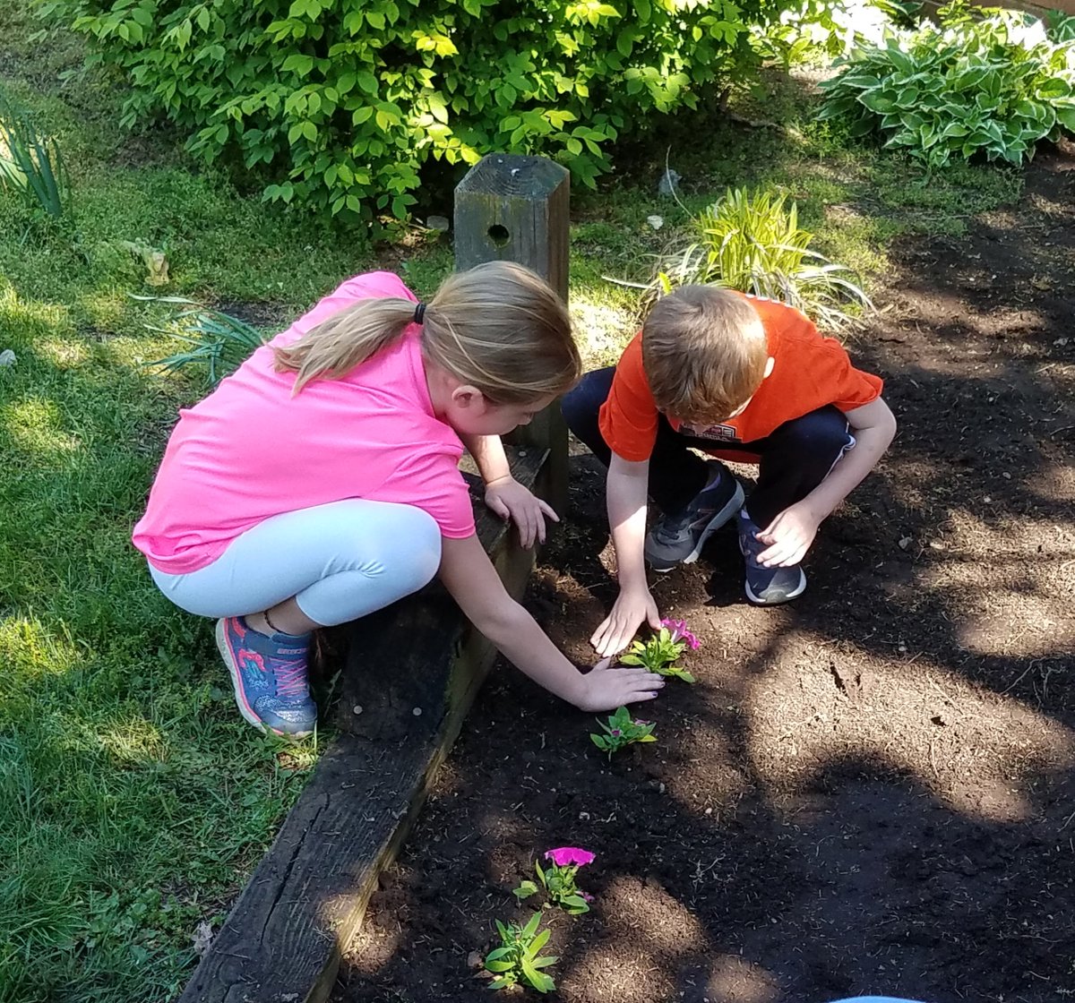 KimLatremore's tweet photo. @VS13UFSD James Dever students plant flowers for our annual PTA sponsored beautification project with help from our student council #DedicatedatDever https://t.co/scb7ibaMAy