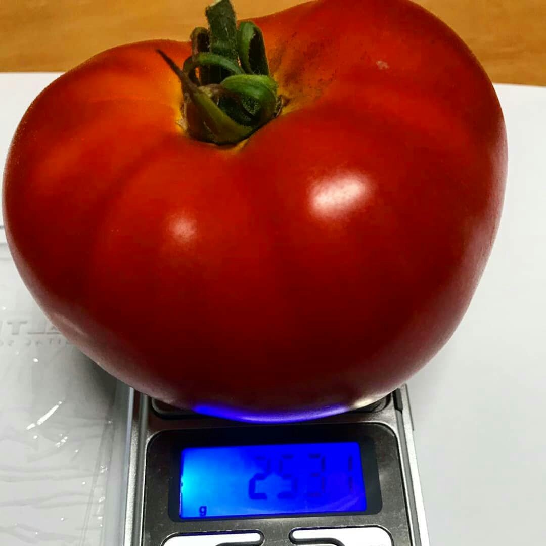 EOS iGROW tweet media