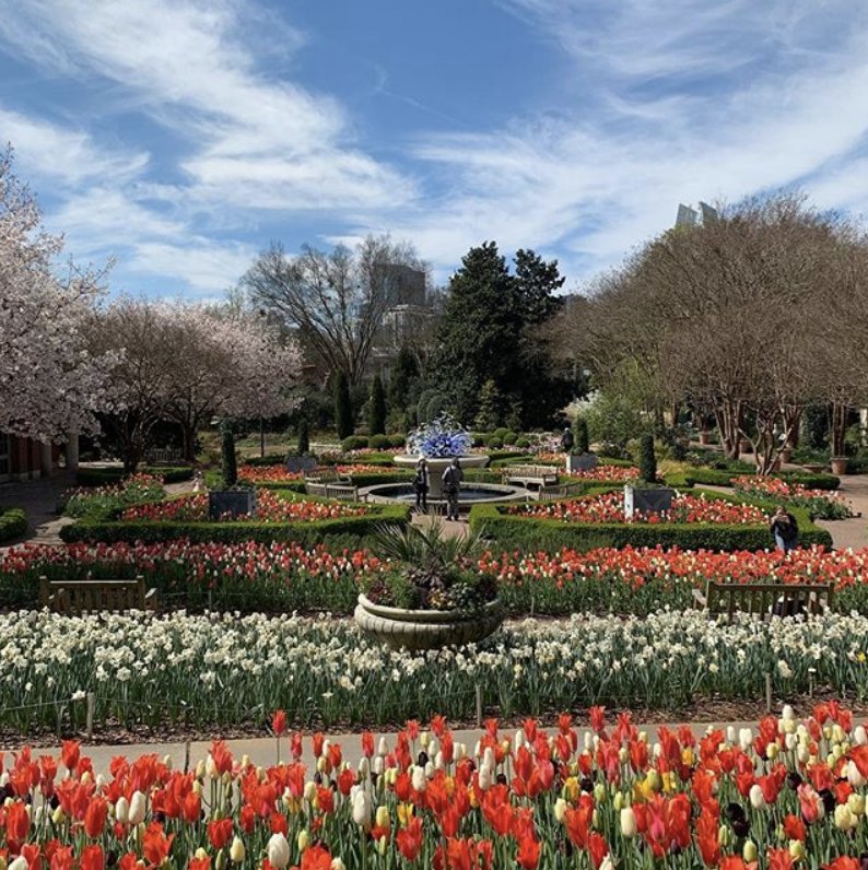 No2OpusPlace's tweet photo. A paradise of greenery hidden amongst the high rises is just a short distance from No2 Opus Place! 🌳🌸The perfect escape within the city. 😍#No2OpusPlace #BotanicalGardens
.
📷Repost: @atlbotanical https://t.co/JCKeKLYdPZ