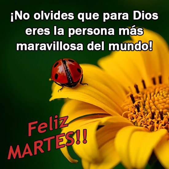 maryunfuhrer's tweet photo. Hola https://t.co/zbfX6cMVJc