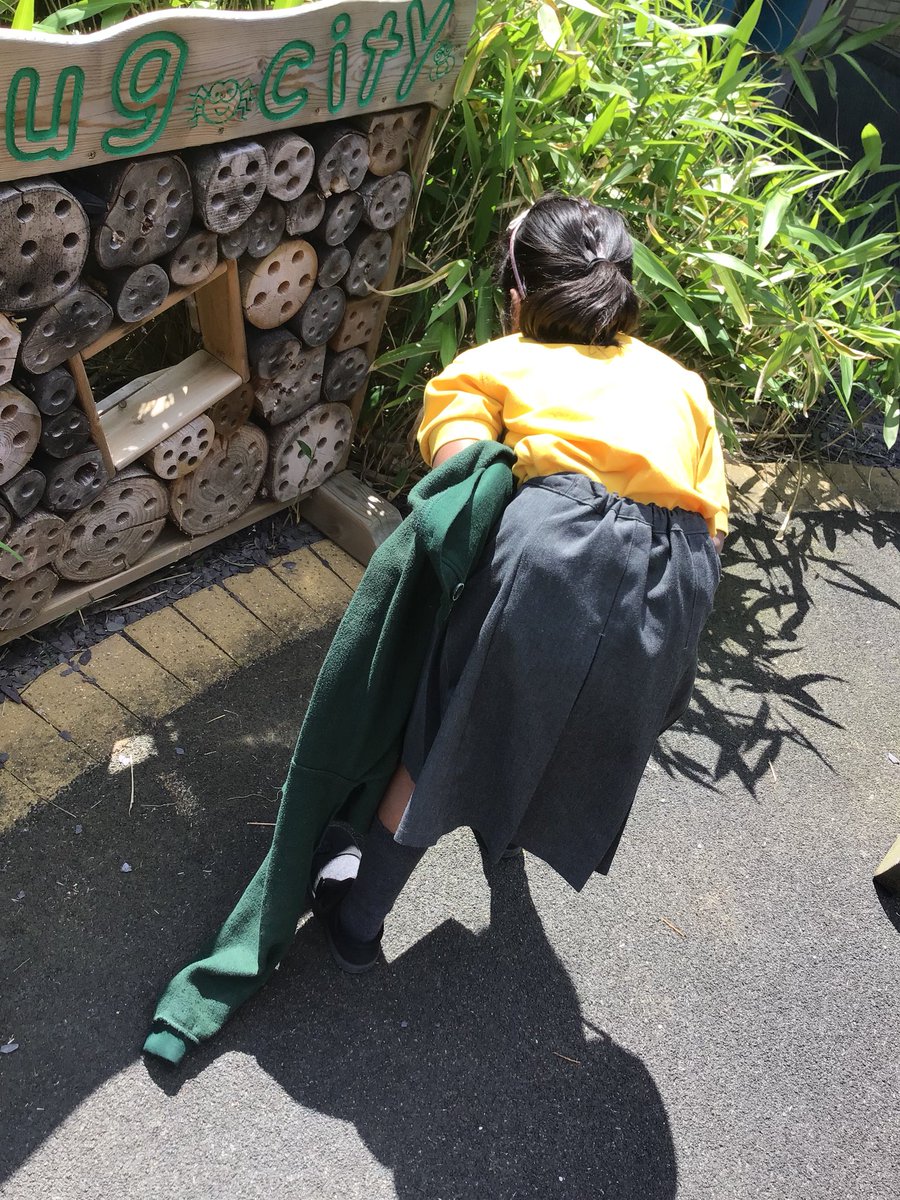 blackbirds1MPS's tweet photo. We have been investigating around school looking for micro habitats and mini beasts. @MPSscience @MpsOutdoor https://t.co/FzhZOkZfnF