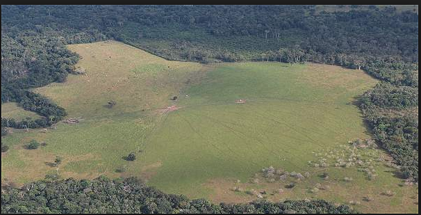 manuel_rodb's tweet image. Colombia, una vergüenza universal al establecer  en el PNDesarrollo la meta de tolerar que se deforeste cerca de un millón de hectáreas de bosque y con ello  la destrucción de su excepcional biodiversidad y la protección de fuentes de agua: leer A. Hurtado eltiempo.com/opinion/column…