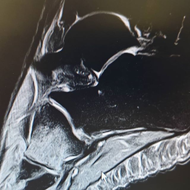 Dr Manel Ballester tweet media