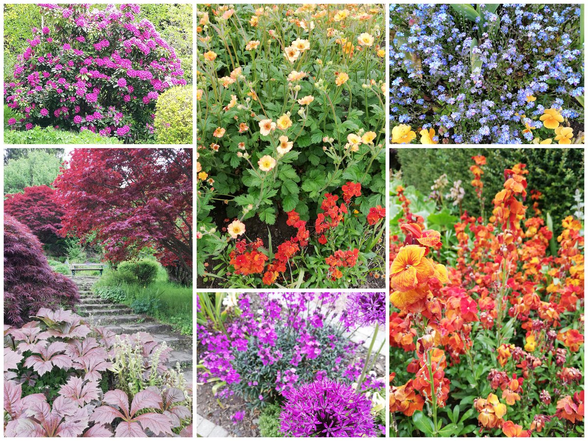 Stunning Colours in Carlisle Park Morpeth today, despite the ominous clouds.☔?