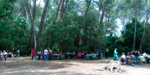 viladepiera's tweet photo. Diumenge 9 a partir de les 11 al Bedorc, XXX Aplec de la Pineda de Can Ferrer del Coll
#bedorc #aplec #pineda #Piera 
Consulte programació d'actes: 
https://t.co/o5avbswkjp https://t.co/JjFbF0gSss