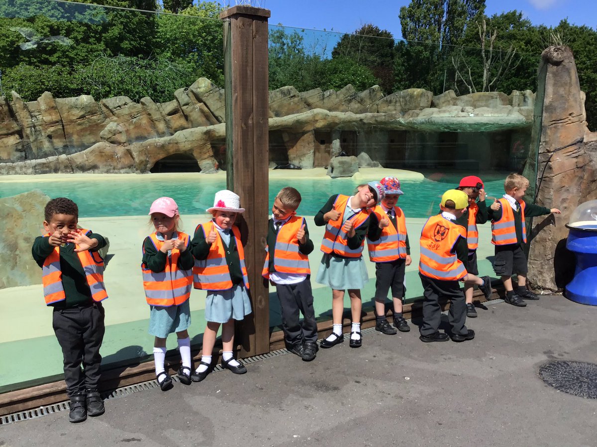 sjvblackpool's tweet photo. The Sea Lion Talk was definitely one of our favourites. We now know the difference between seals and sea lions #SJVClassRC https://t.co/tSc87gy9WF