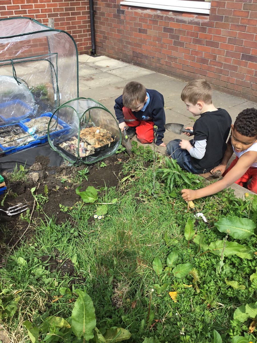 WillowparkAc's tweet image. Our Reception class Forest School pupils have been busy working on our raised beds over the last few weeks.  It's been hard work getting them ready to be planted up but we're nearly there! We're excited to see to see the fruits of our labour!
#efys #forestschool @SouthPennine