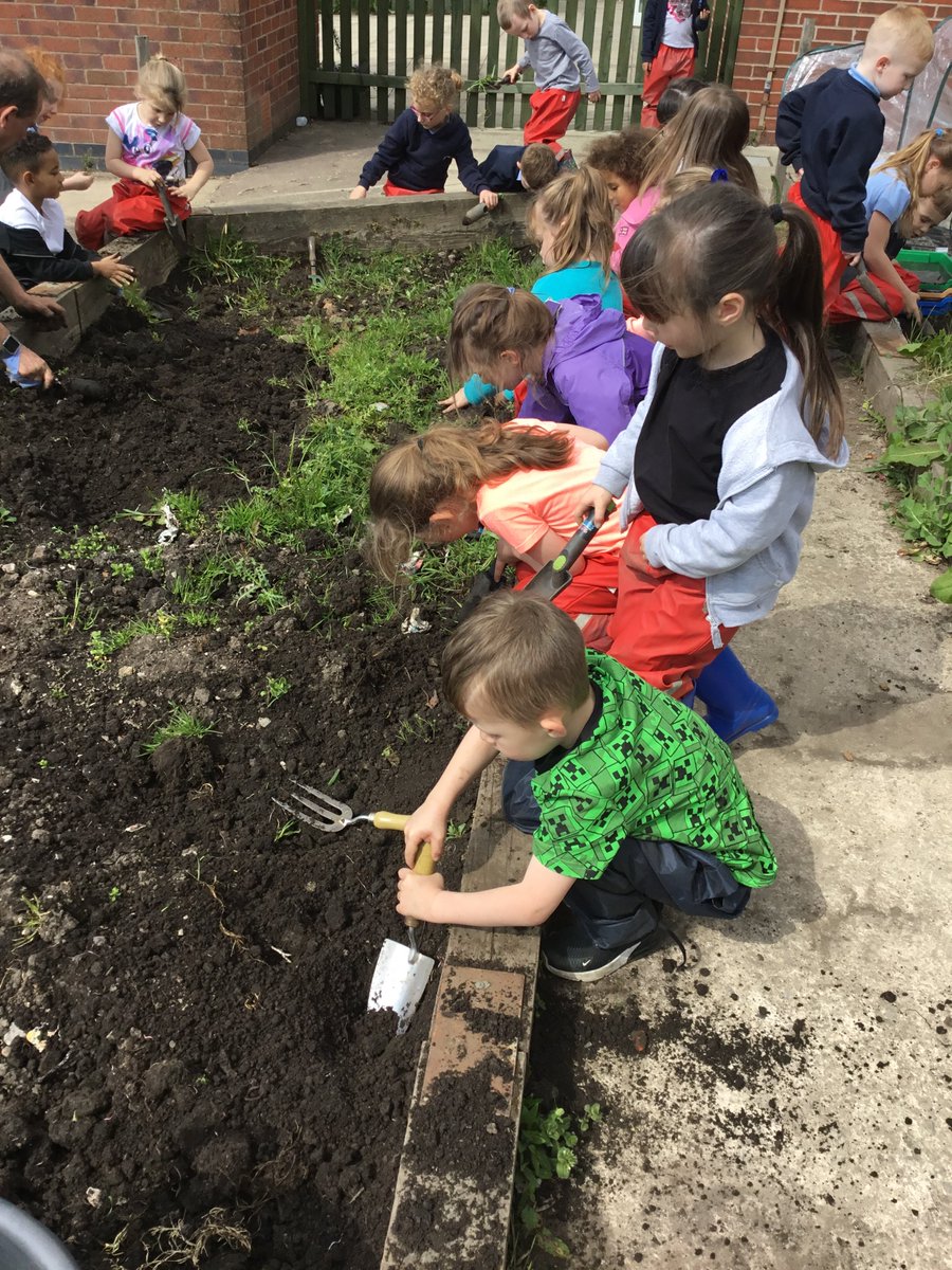 WillowparkAc's tweet image. Our Reception class Forest School pupils have been busy working on our raised beds over the last few weeks.  It's been hard work getting them ready to be planted up but we're nearly there! We're excited to see to see the fruits of our labour!
#efys #forestschool @SouthPennine