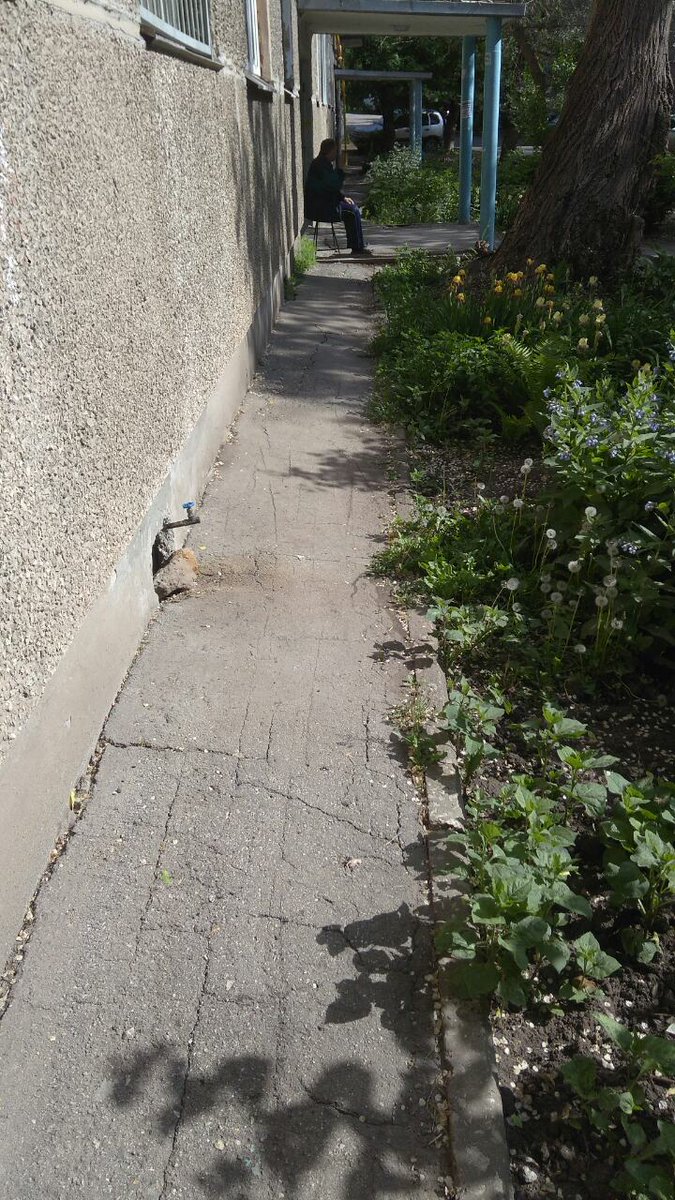 ooo zhks samara tweet media