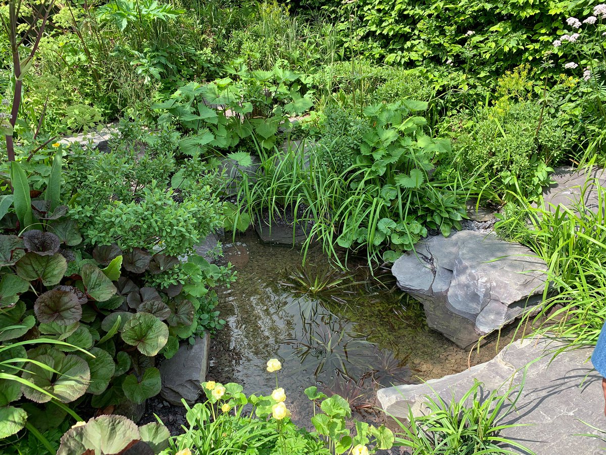 Big Fish Landscapes tweet media