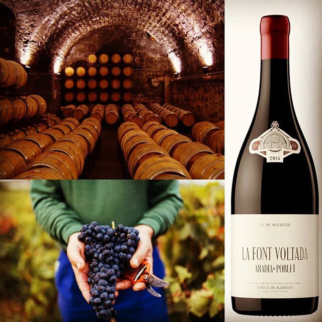 H2Vin Ltd (@h2vin) on Twitter photo Today & tomorrow @londonwinefair, the Conca de Barberà ‘La Font Voltada’ 2015 from Abadia de Poblet is on show! Come to our H2Vin stand (Tables Y146 & Y147) in the <a href="/Esoterica_LWF/">Esoterica Tasting</a> Zone to taste it! #ConcadeBarberà #Codorniu #Spain #winesfromspain #London #Trade #Wine#LWF19 Today & tomorrow @londonwinefair, the Conca de Barberà ‘La Font Voltada’ 2015 from Abadia de Poblet is on show! Come to our H2Vin stand (Tables Y146 & Y147) in the <a href="/Esoterica_LWF/">Esoterica Tasting</a> Zone to taste it! #ConcadeBarberà #Codorniu #Spain #winesfromspain #London #Trade #Wine#LWF19