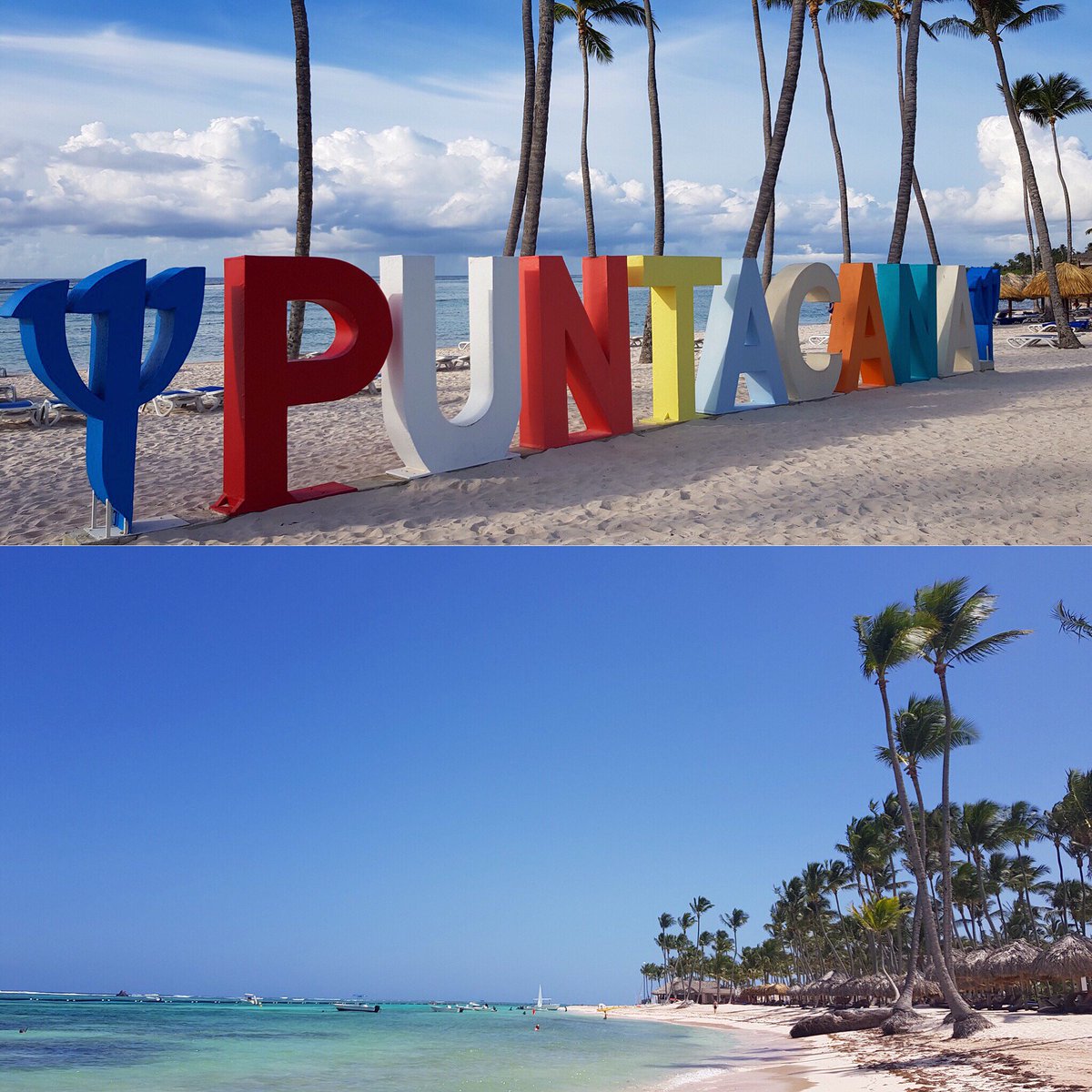 ExplorGames®️ by Atelier Nature tweet media