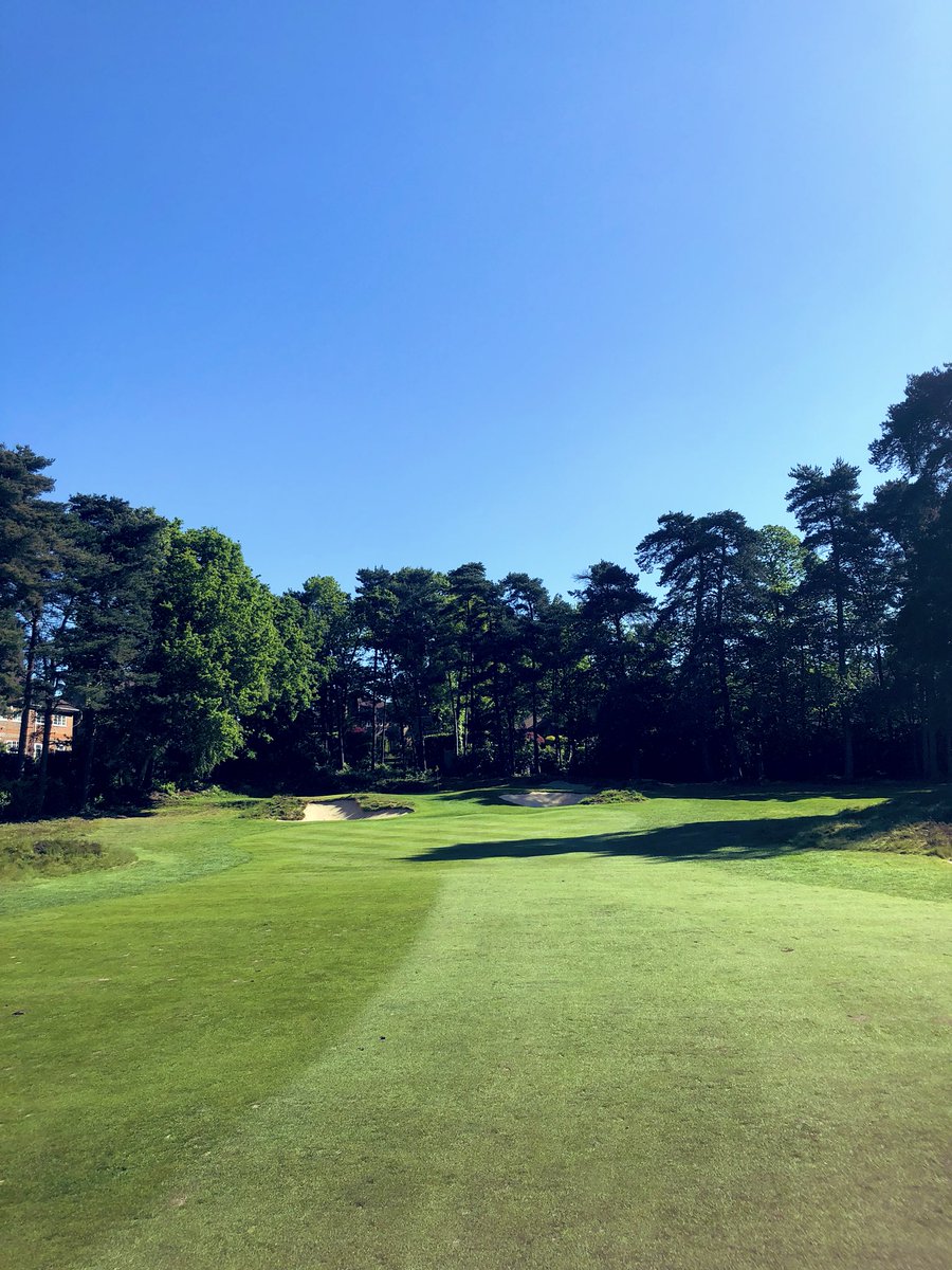 Brad Annels tweet media