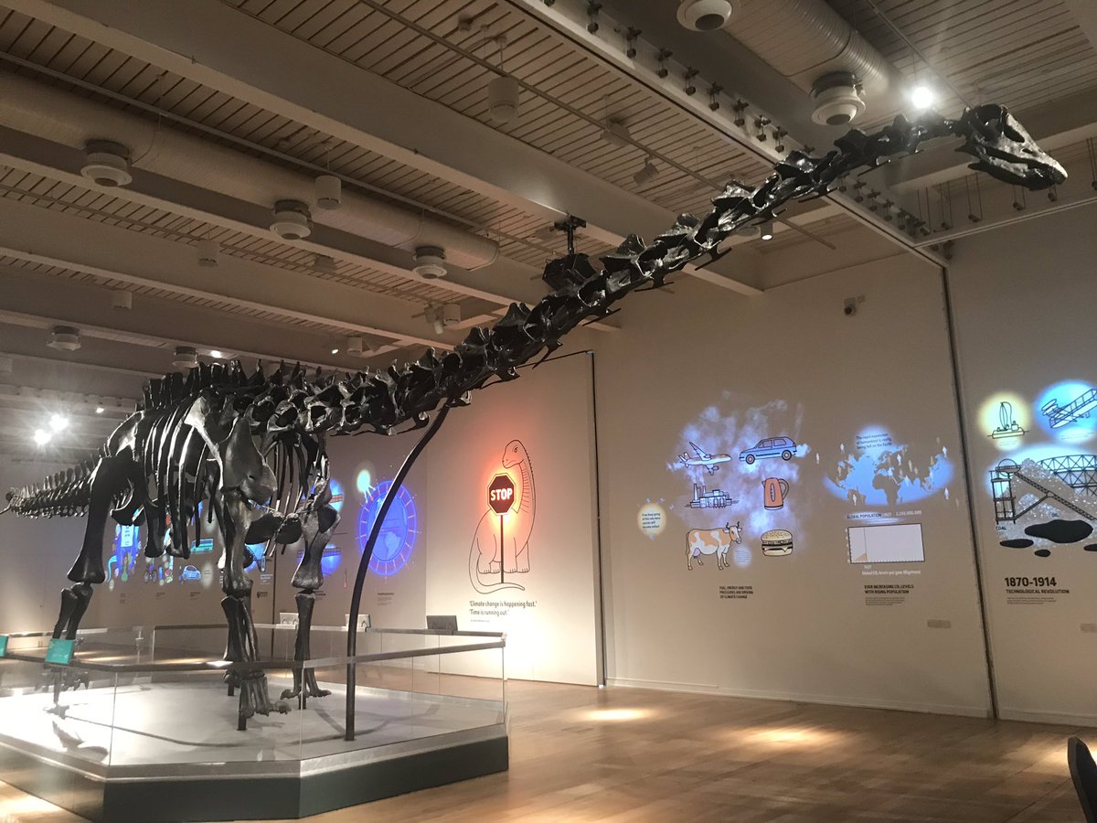 durhamchiroprac's tweet photo. Well networking and talking chiropractic and bones at its finest. @GNM_Hancock @TWAMmuseums #DippyOnTour #chiropractic-care. @durhamchiroprac who can sort dippy’s bones out!!! https://t.co/fuxKT8IxJh
