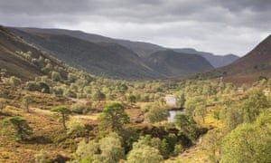 gowildfilms's tweet photo. Rewild a quarter of UK to fight climate crisis, campaigners urge https://t.co/WMJJd5lFLG https://t.co/cbd9vsTIZz