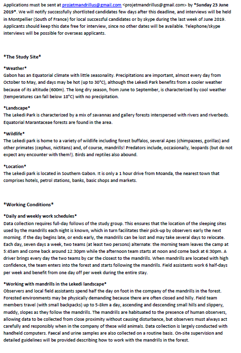 HyenaProject's tweet image. ❗️#FieldAssistant position❗️
 The #Mandrillus Project is seeking 3 volunteers to collect data in #Gabon.
 This is a great opportunity to:
   1. Gain field experience
   2. Study fascinating animals🐒🐵
   3. Be part of a great team led by Marie Charpentier @isemevol @INEE_CNRS