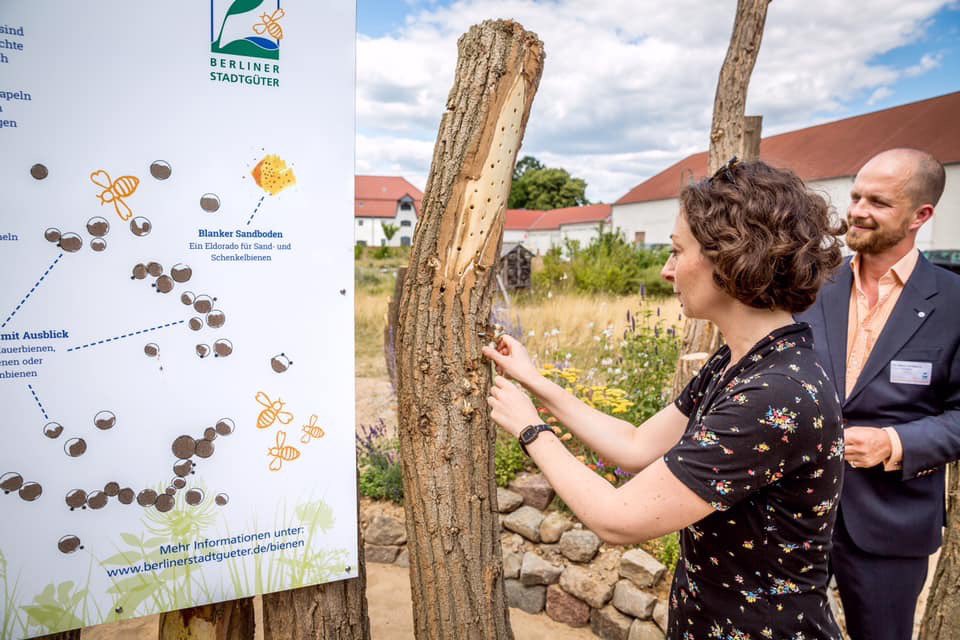 Ramona Pop looking at Bienen

Quelle: Facebook-Seite von Ramona Pop