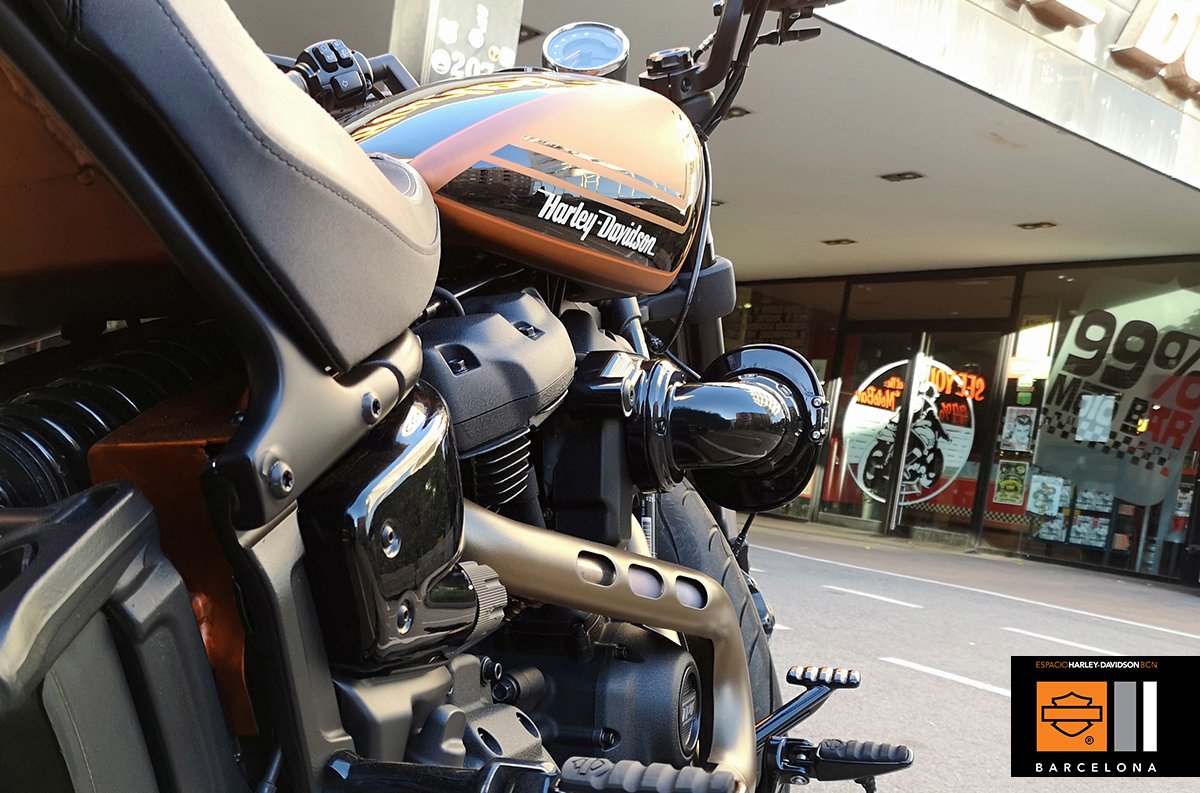 espaciohdbcn's tweet photo. Ellas controlan el establecimiento, vigilan nuestro espacio #harlista… Pero, ¿Qué sería de nuestro parking sin la presencia de nuestras Harley-Davidson? 👀🔝 https://t.co/j2tGMmUZte